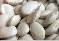 大白花豆